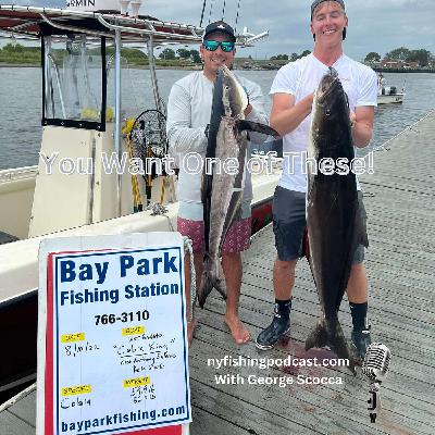 The Cobia Fishing Phenomenon and Adapting to Evolving Oceanic Conditions