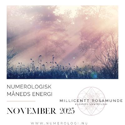 2025 | Numerologisk energi i november måned i år 2025 2025 | Numerologisk energi i november måned i år 2025
