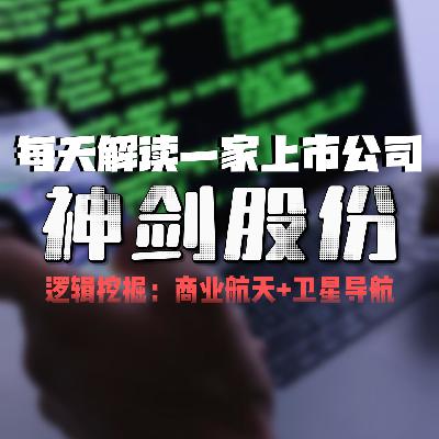 每天解读一家上市公司：神剑股份