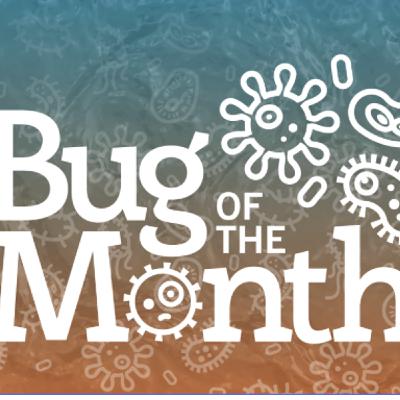 15: Bug of the Month: I'm Older Than Empires