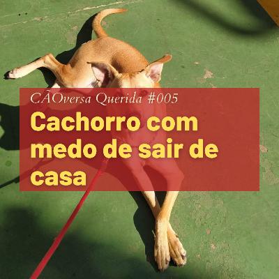 CÃOversa Querida #005 - Cachorro com medo de sair de casa CÃOversa Querida #005 - Cachorro com medo de sair de casa