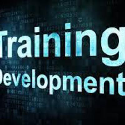 Training Fads and Fables