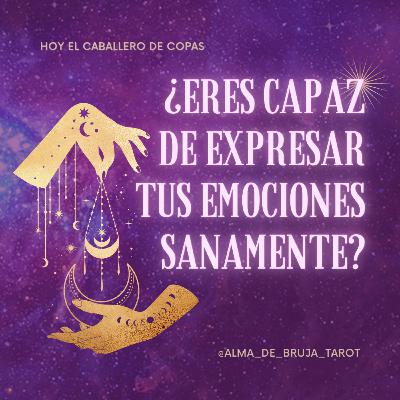 Este Fin de semana (14 y 15 Nov 2020) nos acompaña el Caballero de Copas...