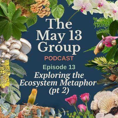 Exploring the Ecosystem Metaphor Pt 2