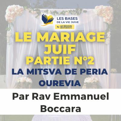 Le mariage juif - La Mitsva de Peria ouRevia, 2ème partie