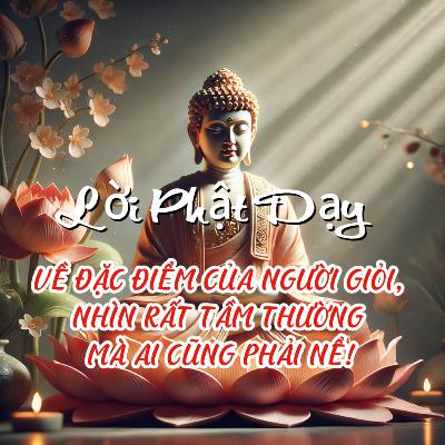 NGHE PHẬT GIẢNG VỀ ĐẶC ĐIỂM CỦA NGƯỜI GIỎI, NHÌN RẤT TẦM THƯỜNG MÀ AI CŨNG PHẢI NỂ!