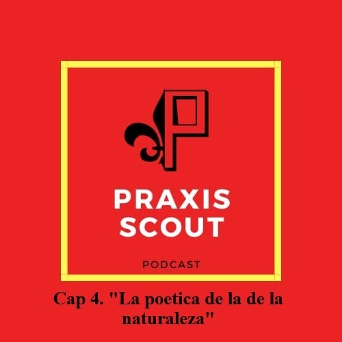Praxis Scout