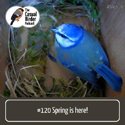 Spring is here! #120