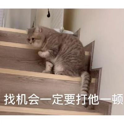 EP56. 吵架心理学:你非要这么想...那我也有办法 EP56. 吵架心理学:你非要这么想...那我也有办法
