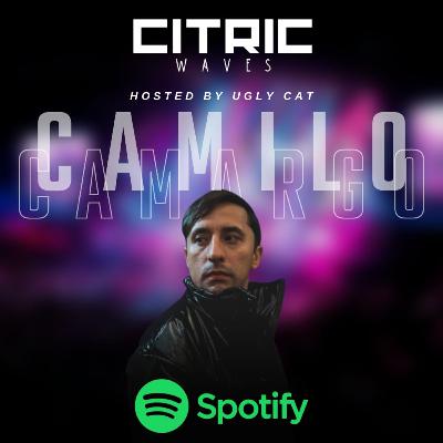 Waves NPI T06 E08 Camilo Camargo