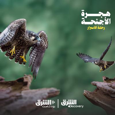 هجرة الأجنحة | رحلة الأسرار هجرة الأجنحة | رحلة الأسرار