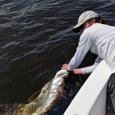 Summer is over, kind of.