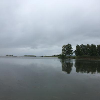 En väg framåt