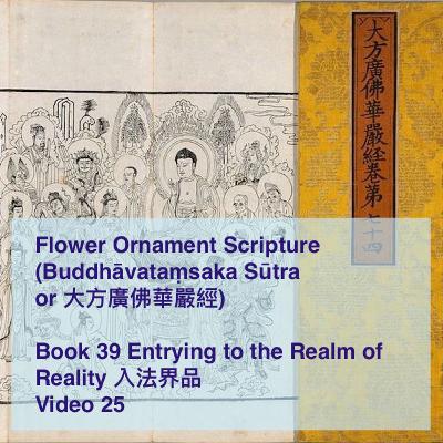 Flower Ornament Sutra 華嚴經 — Book 39 Video 25