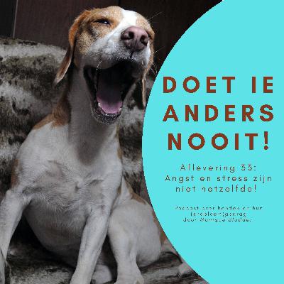 Ep.33 Angst en stress zijn niet hetzelfde
