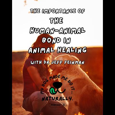 The Importance of the Human Bond in Animal Healing with Dr Jeff Feinman