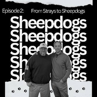 Ep 2: From Strays to Sheepdogs