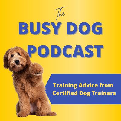 Your Dog Craves Leadership! How to Be What Your Dog Needs...