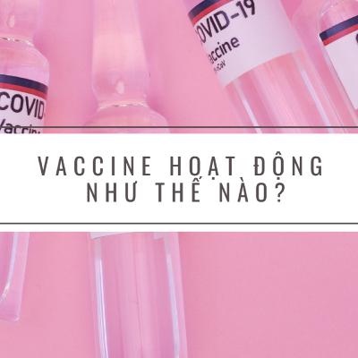#12 Vaccine hoạt động như thế nào? | Vietnamese Shadowing | Học Tiếng Việt