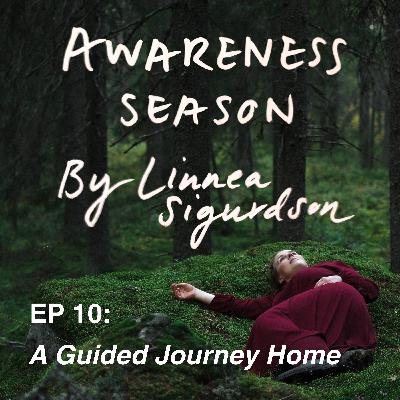 #10: A Guided Journey Home #10: A Guided Journey Home