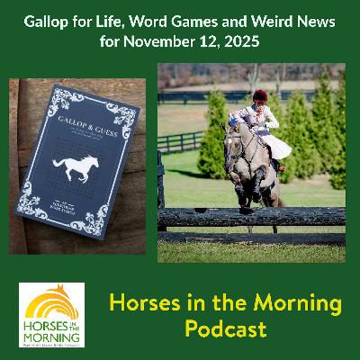 Gallop for Life, Word Games and Weird News for November 12, 2025 - HORSES IN THE MORNING Gallop for Life, Word Games and Weird News for November 12, 2025 - HORSES IN THE MORNING