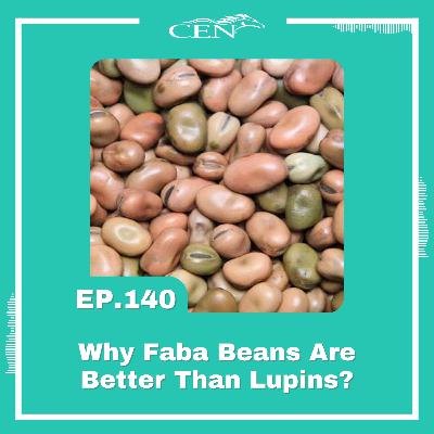 Ep. 140 | WHY FABA BEANS ARE BETTER THAN LUPINS – An Equine Superfood