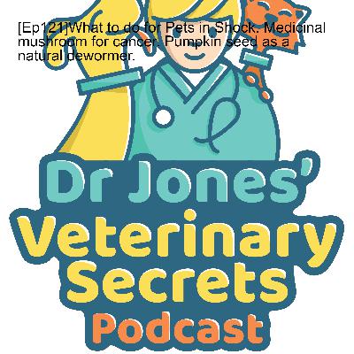 [Ep121]What to do for Pets in Shock. Medicinal mushroom for cancer. Pumpkin seed as a natural dewormer.