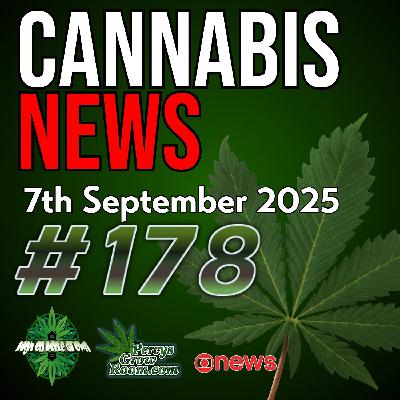 Self-Medication Leads to Cannabis Dealing | Thailand Elects Cannabis-Friendly PM | Prenatal Cannabis Study | Switzerland Legalisation Plans | Massachusetts Ballot Move | Cannabis News Ep. 178