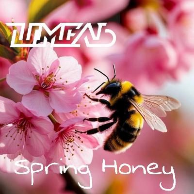 DJ Шмель-SPRING HONEY
