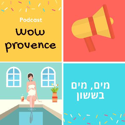 מים מים בששון- בריכות וחופים בפרובנס וברביירה הצרפתית