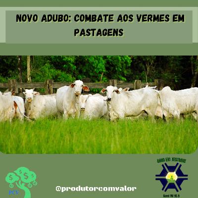 Novo adubo: combate aos vermes em pastagens Novo adubo: combate aos vermes em pastagens