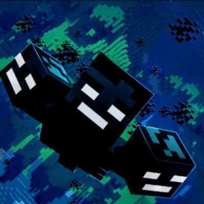 Kampf gegen den Wither