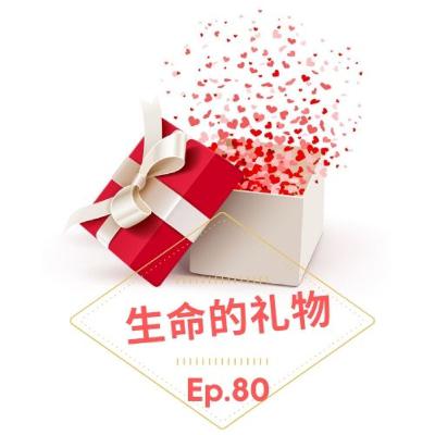 生命的礼物 Ep.80 日常事务