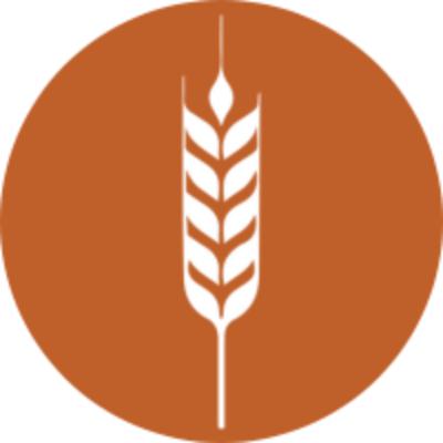 Collaboration in Action: UI and LCS Wheat Varieties