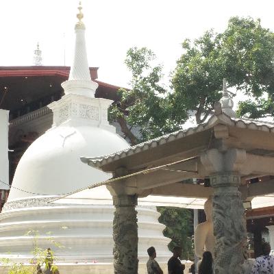 55: Flaneur | 吹吹印度洋的海风:斯里兰卡旅游攻略 55: Flaneur | 吹吹印度洋的海风:斯里兰卡旅游攻略