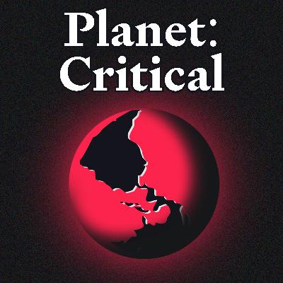 Human Exceptionalism | Christine Webb