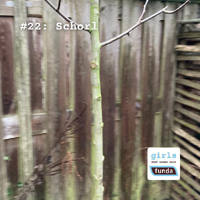 #22: Schorl