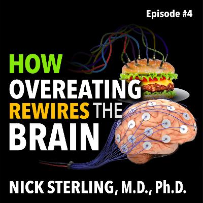 How Overeating Rewires Our Brains – Neuroscience of Weight Gain & Loss | Nick Sterling, MD, PhD #4
