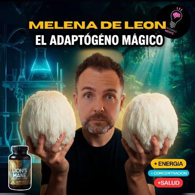MELENA DE LEÓN El Hongo que los Laboratorios NO QUIEREN que conozcas