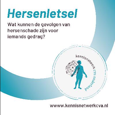 Wat kunnen de gevolgen van hersenschade zijn voor iemands gedrag? Wat kunnen de gevolgen van hersenschade zijn voor iemands gedrag?