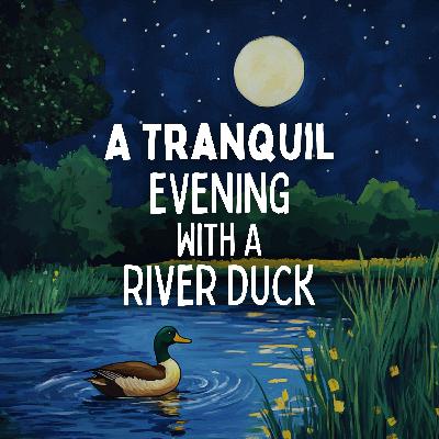 A Tranquil Evening with a River Duck