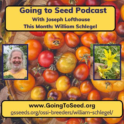 Joseph Lofthouse talks Tomatoes with William Clark Schlegel