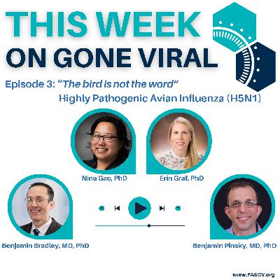 Episode 3: The bird is not the word