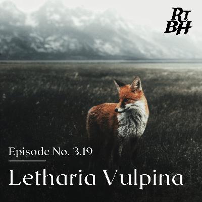 Episode 53 - S3E19 Letharia Vulpina Episode 53 - S3E19 Letharia Vulpina