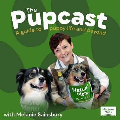 #4 Top Training Tips For A Pup Heading To Adulthood