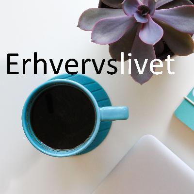 Høj dimittendledighed Høj dimittendledighed