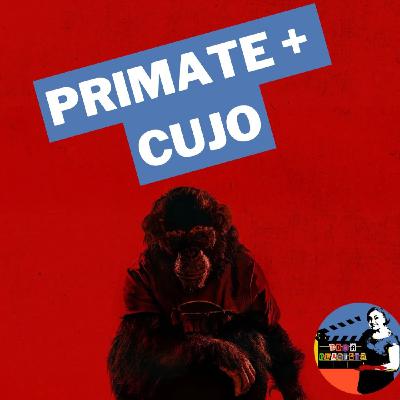 DC 03X08 | Primate + Cujo