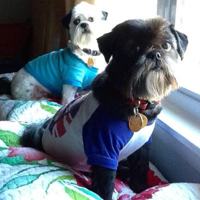 Episode 8 :: Dog Moms Delight