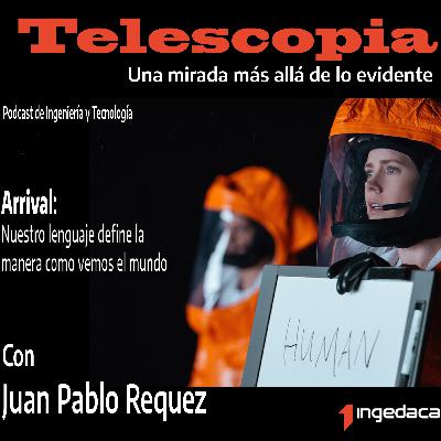 Arrival: Nuestro lenguaje define la manera como vemos el mundo.