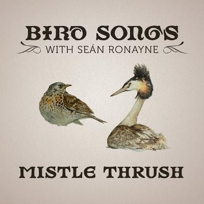 Mistle Thrush | Bird Songs with Seán Ronayne Mistle Thrush | Bird Songs with Seán Ronayne